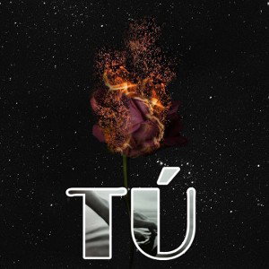 Tú