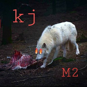 m2