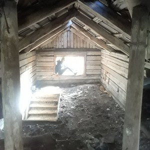 детство