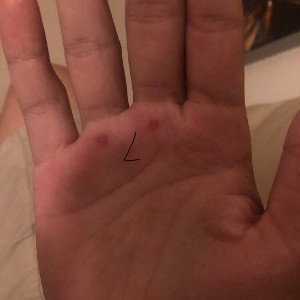 Покров из страхов и болезней