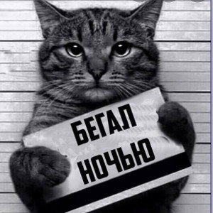 Busthlor-Ice (Арабский Гугл переводчик)