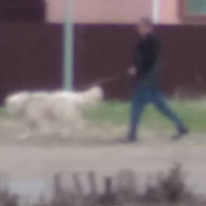 хэллоу