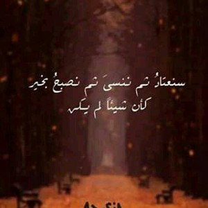 السراب