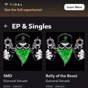 INSTRUMENTAL