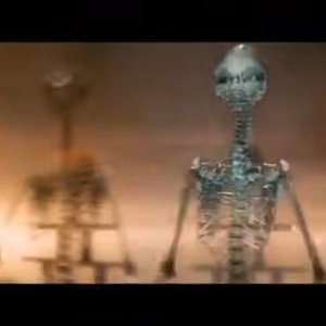 Black Hole Mengele Species Summera