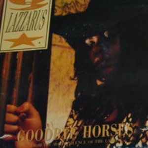  GOODBYE HORSES (COVER MIX) 