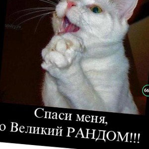 РАНДОМ