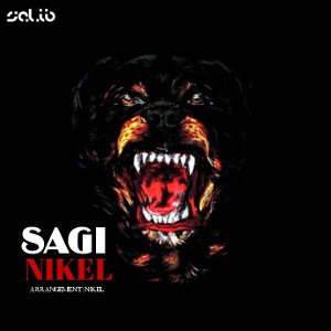  Sagi