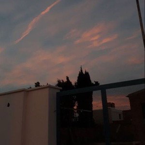 Вопрос  