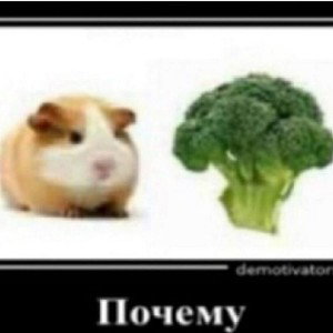 почему