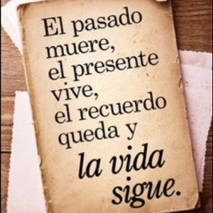 solo sanen criticar