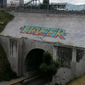 mi compañera