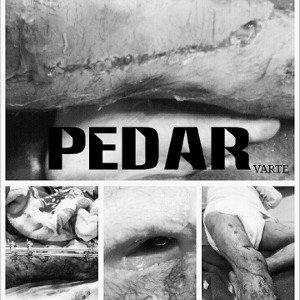 PEDAR