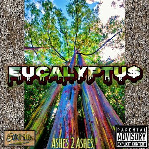 Eucalyptus🌿