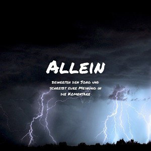 "rlmeansreal - Allein"