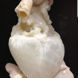 Clean Hearts 
