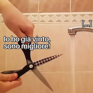 lupo solitario terrone