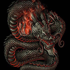 DRAGON 