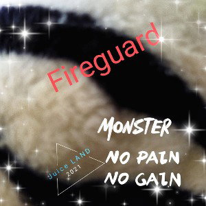 Fireguard