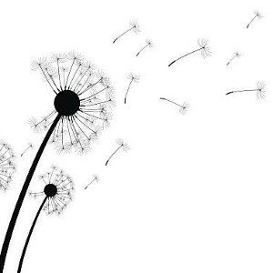 ONE WISH 