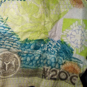 money everywhere