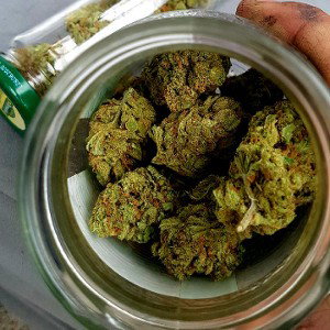 Kush vom feinsten