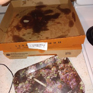 hard to put food on the table