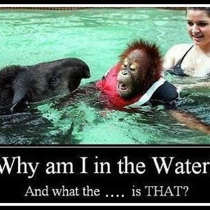bit of fun 