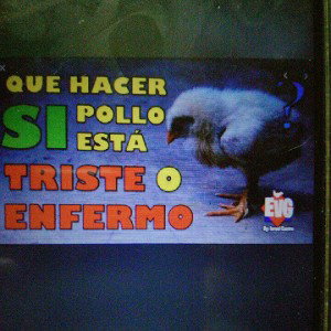 DENVERT el Pollo 116