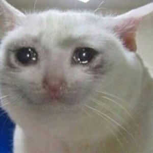 Oi