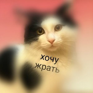 РАТАТАТАТА