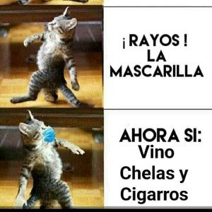 Como se debe bebe 