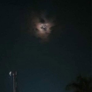 ЦЕНИ(NIGHT)