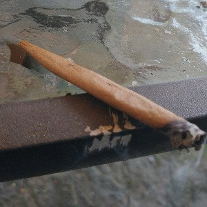 bitch I'm dabomb