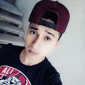 Los Mandas al Carajo