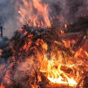iNfErNO