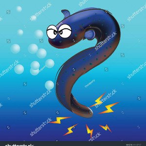Shock Wave 