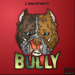 bully survêt froisser