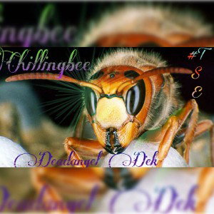 chillingbee 