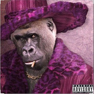 - Pimp Not No Simp _ Prod. By Phozer Beats _