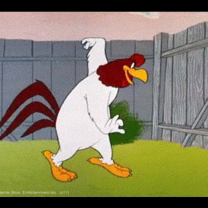 ROOSTER