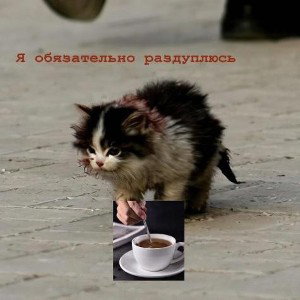 На свалку истории (боббатель 2 раунд)