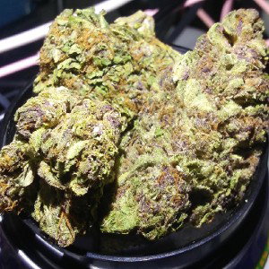 ExTenDoe PurpleErkle Free$tyle