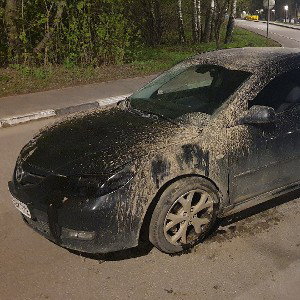 Ответ(сниппет)