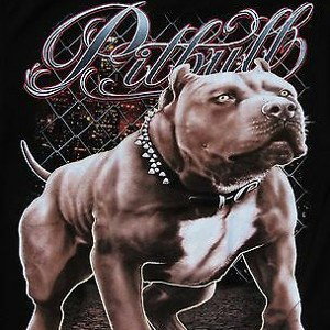 Dawg Pound Anthem Demo 