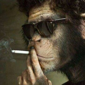 Mano Macaco