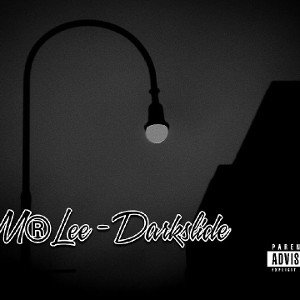 Darkslide-M®Lee