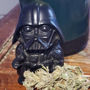 Smoking  Freestyle