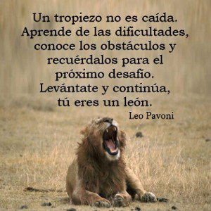 No creyeron