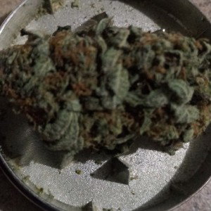 MARYJANE Pt. 2 (Another Smoking Song)